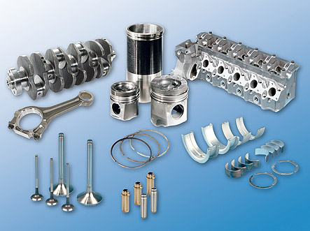 MSD_Produktsortiment2_WEB